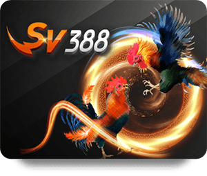 Top Sicbo Online Platforms: Where to Play and Win Now